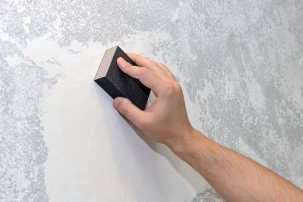 Best Biohazard Mold Removal  in Fort Riley, KS