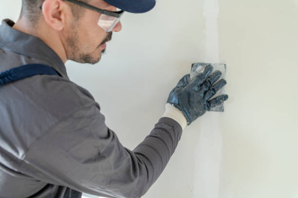 Best Industrial Mold Remediation  in Fort Riley, KS
