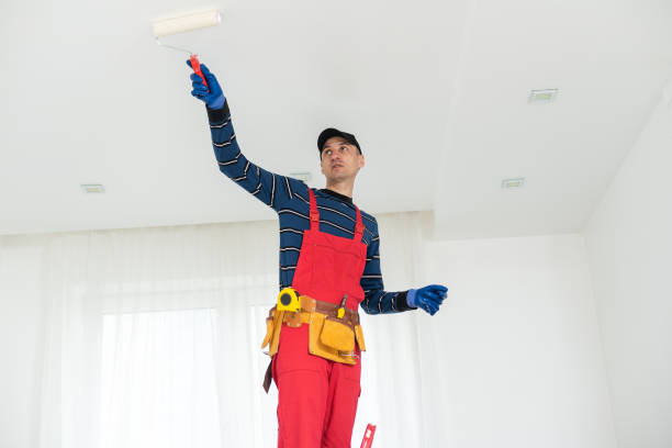Best Mold Odor Removal Services  in Fort Riley, KS
